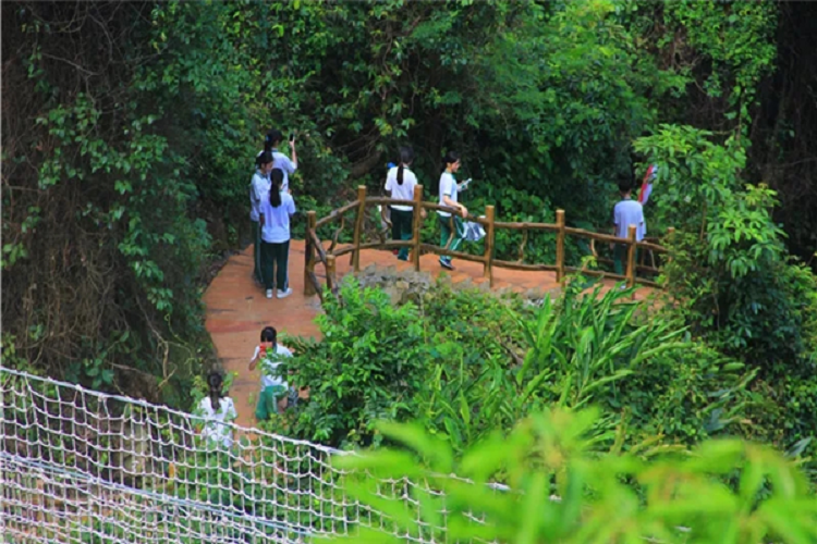 佛山南丹山森林王国门票