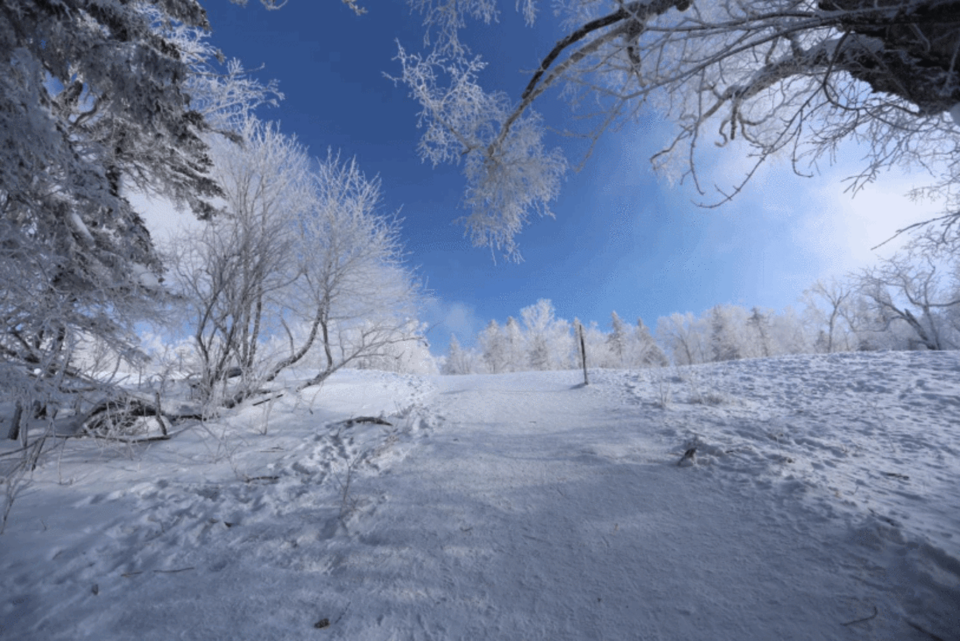 哈尔滨冰雪大世界-穿越雪谷,放飞在雪乡那冰雪奇缘的梦幻世界