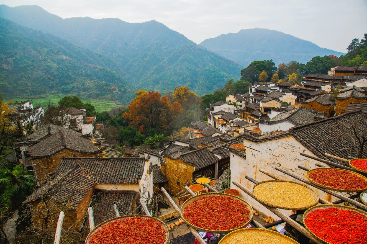 12月中旬,婺源篁岭景区美到极致