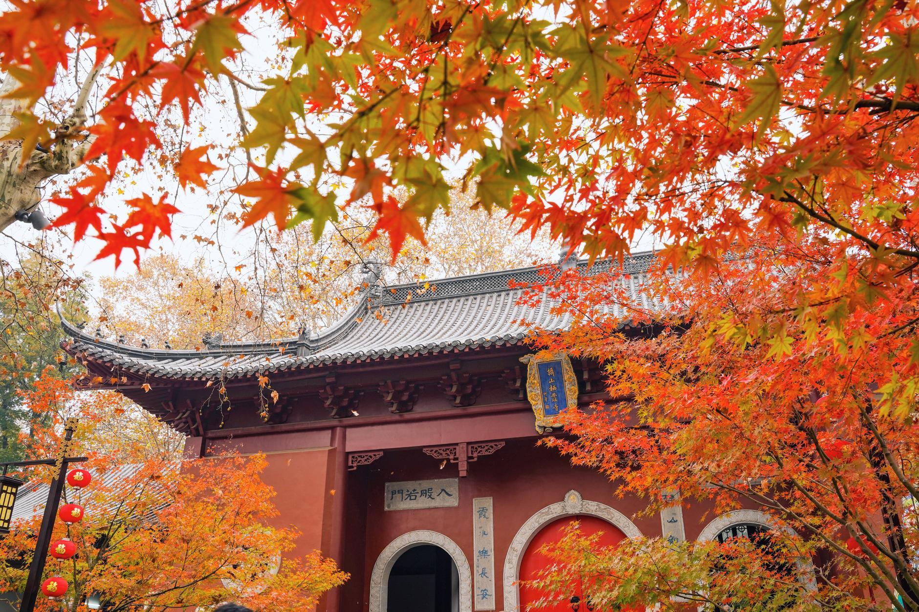 南京赏秋必去·栖霞山一日游·2-10人团·含2-3小时专业讲解(栖霞寺