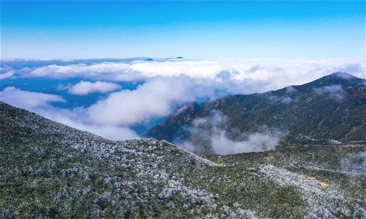 德化石牛山景区门票,马蜂窝自由行 马蜂窝自由行