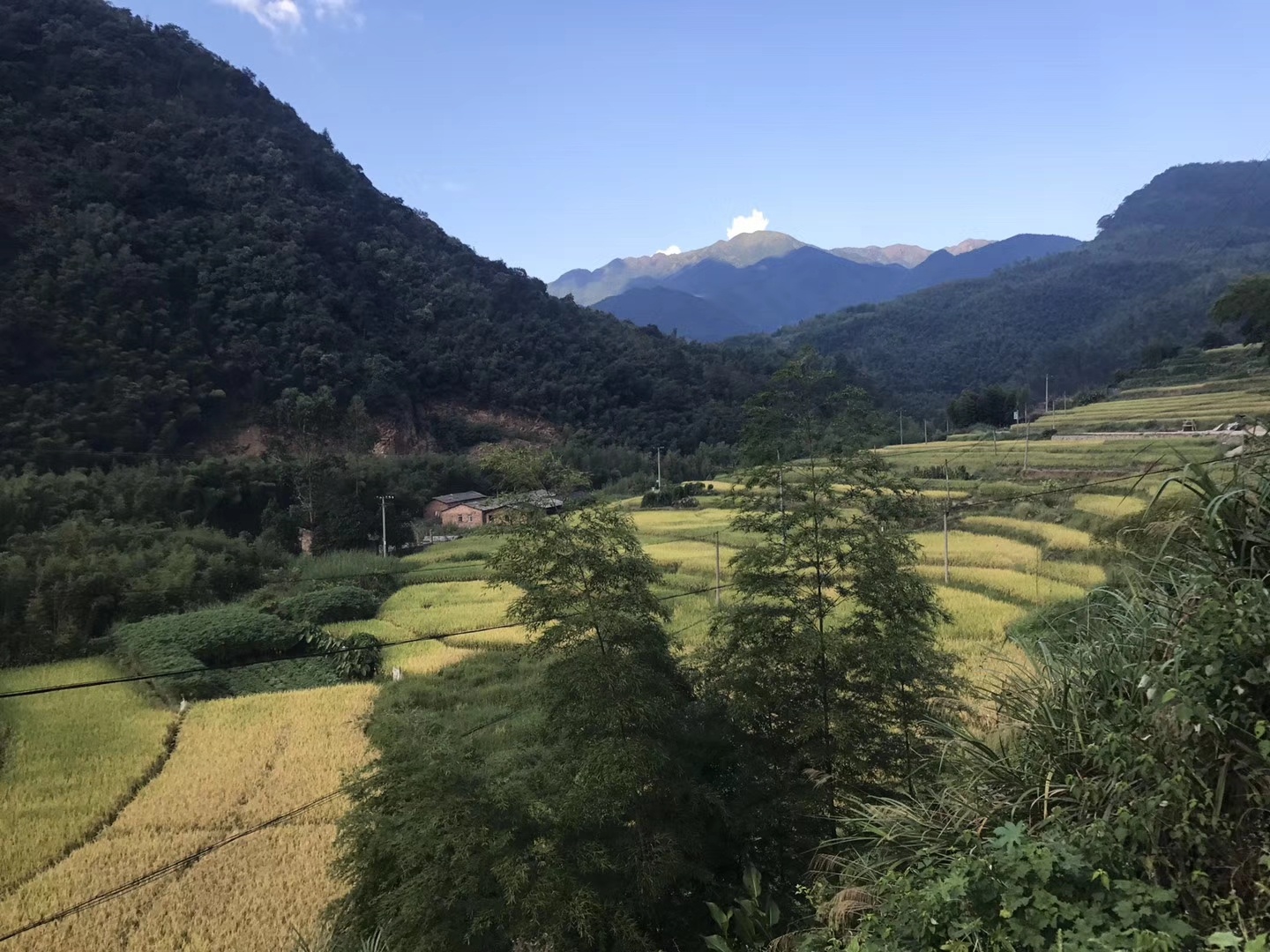 上杭景点介绍,上杭旅游景点,上杭景点推荐 - 马蜂窝