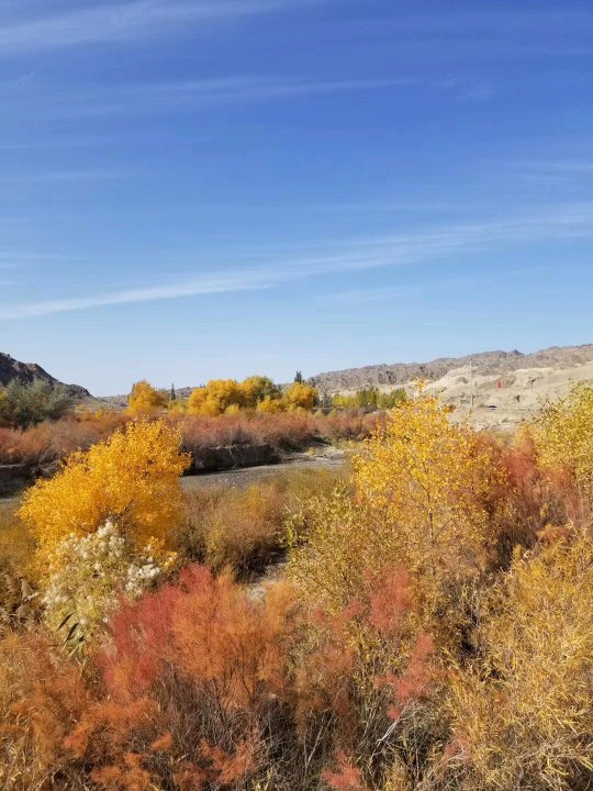 瓜州景点介绍,瓜州旅游景点,瓜州景点推荐 - 马蜂窝