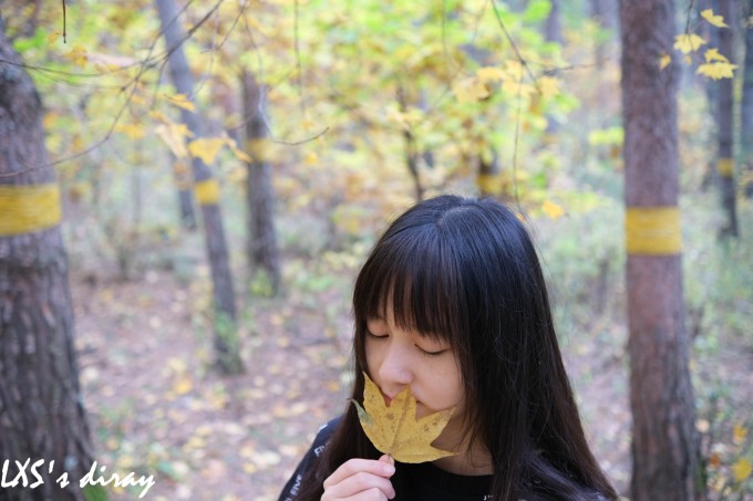 深秋与东北的碰撞丨长白山、延吉、长春、吉林 深秋与东北的碰撞丨长白山、延吉、长春、吉林