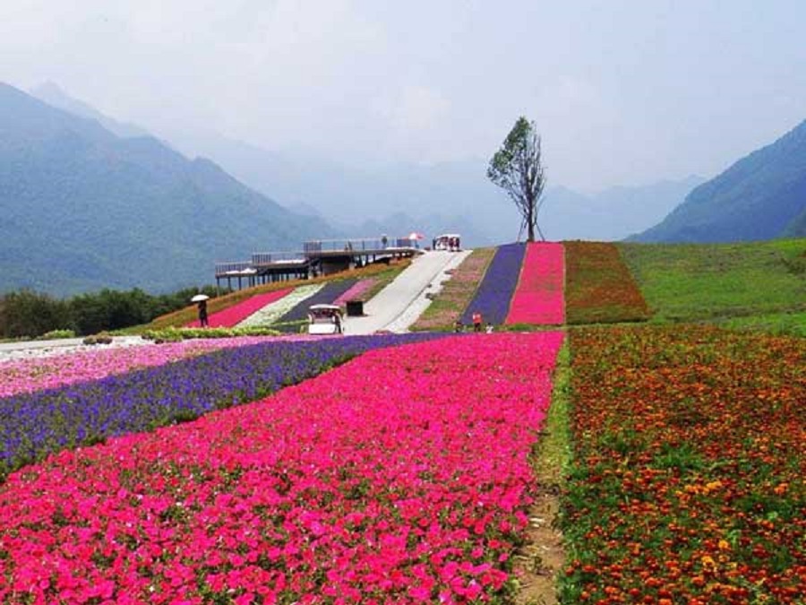 重庆红池坝国家森林公园门票夏季绿草如茵冬季银装素裹