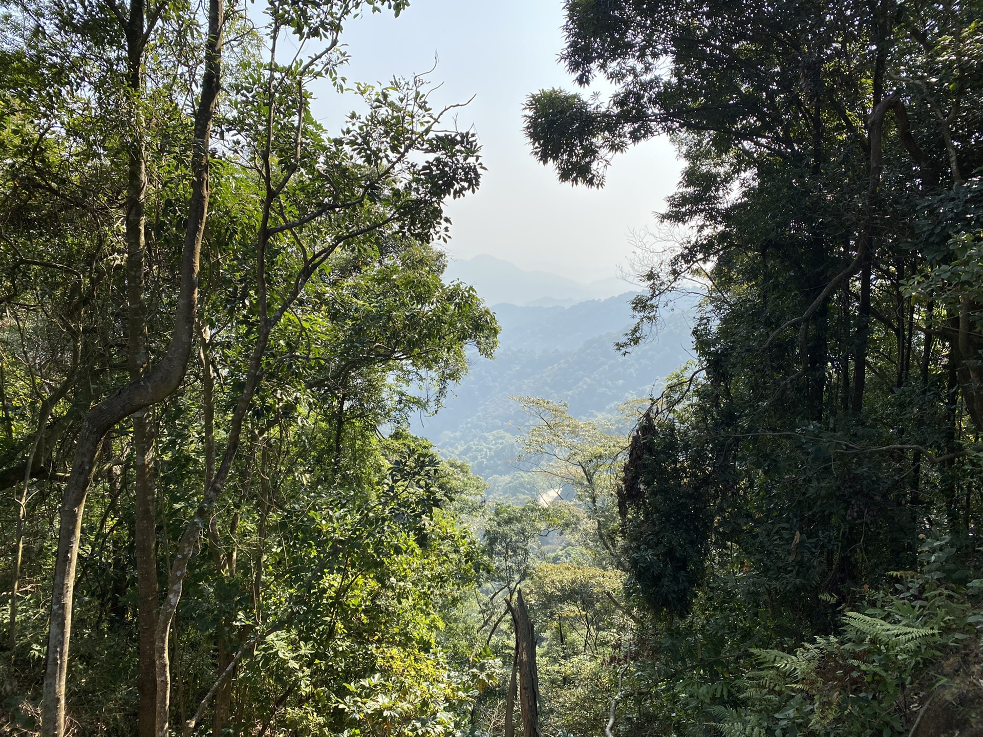 罗浮山后山544乡道风景秀丽