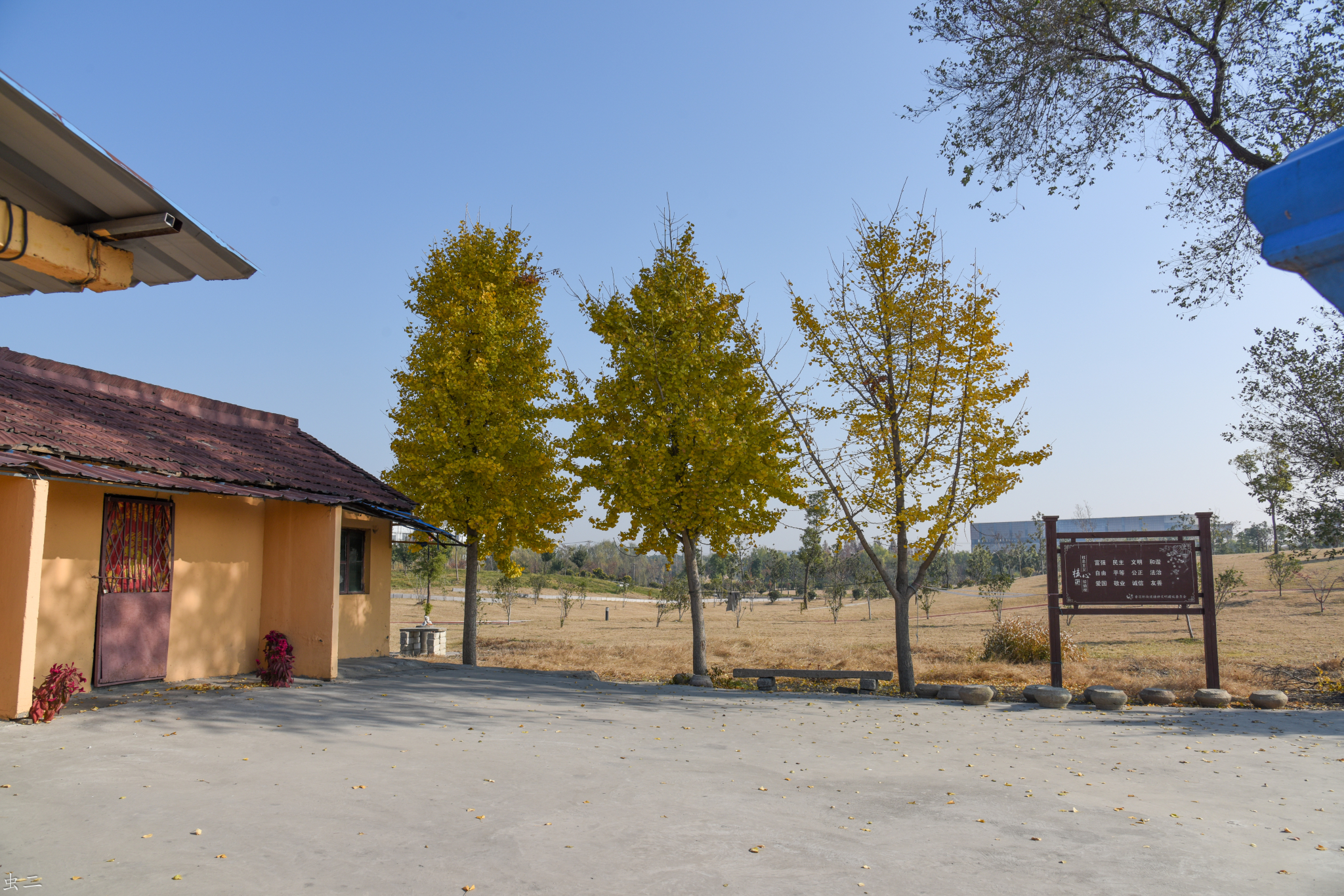 上海寺前村古文化遗址 市保(上海市青浦区大盈镇寺前村)