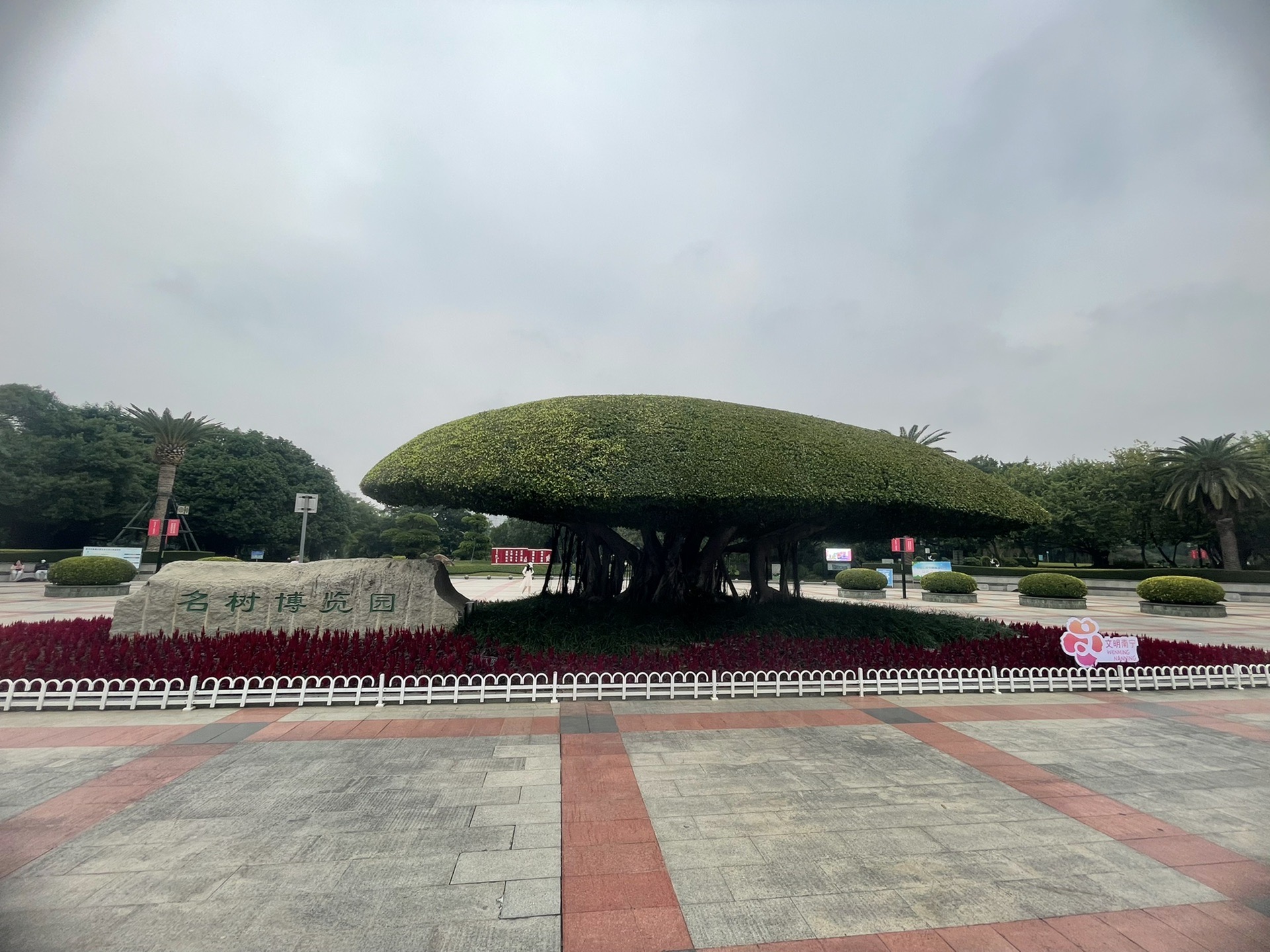 广西南宁靖西德天大瀑布四天休闲游