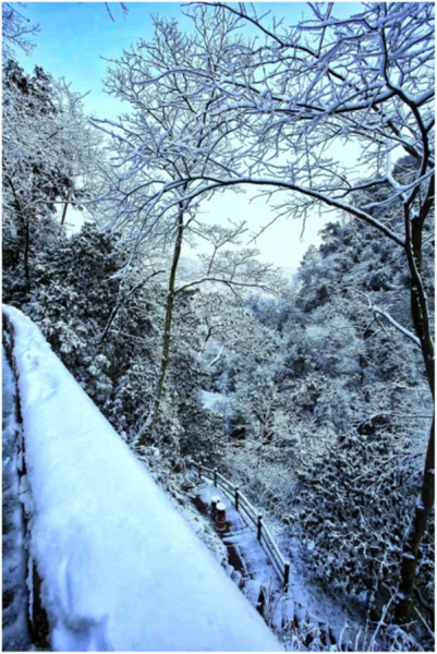 邛崃天台山迎来入冬第一场雪 