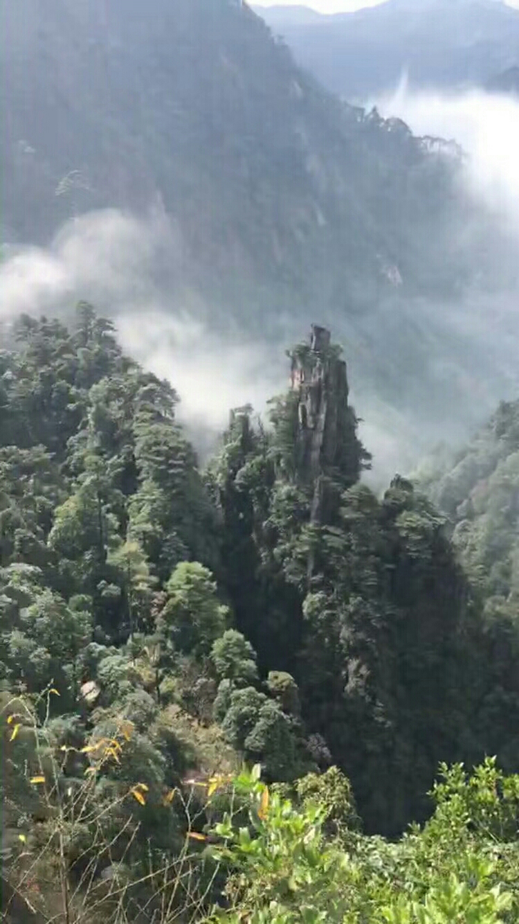 达观天下壮美莽山湘粤第一峰郴州莽山