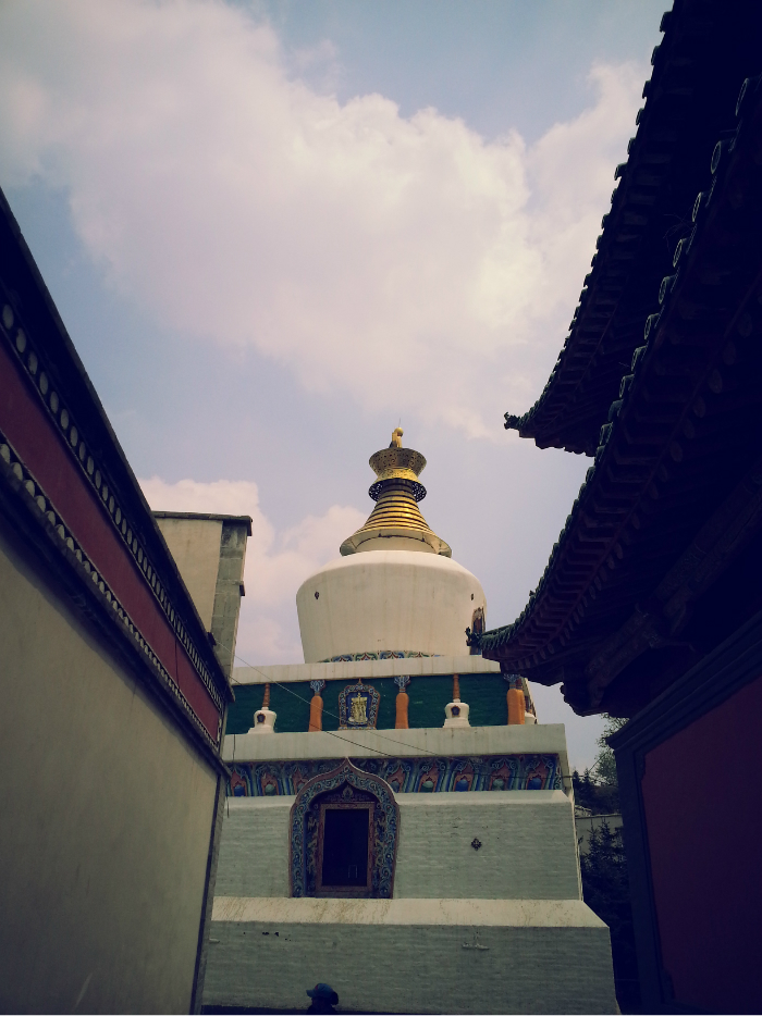 塔尔寺里面有些地方是不对外开放了,只有阿卡和
