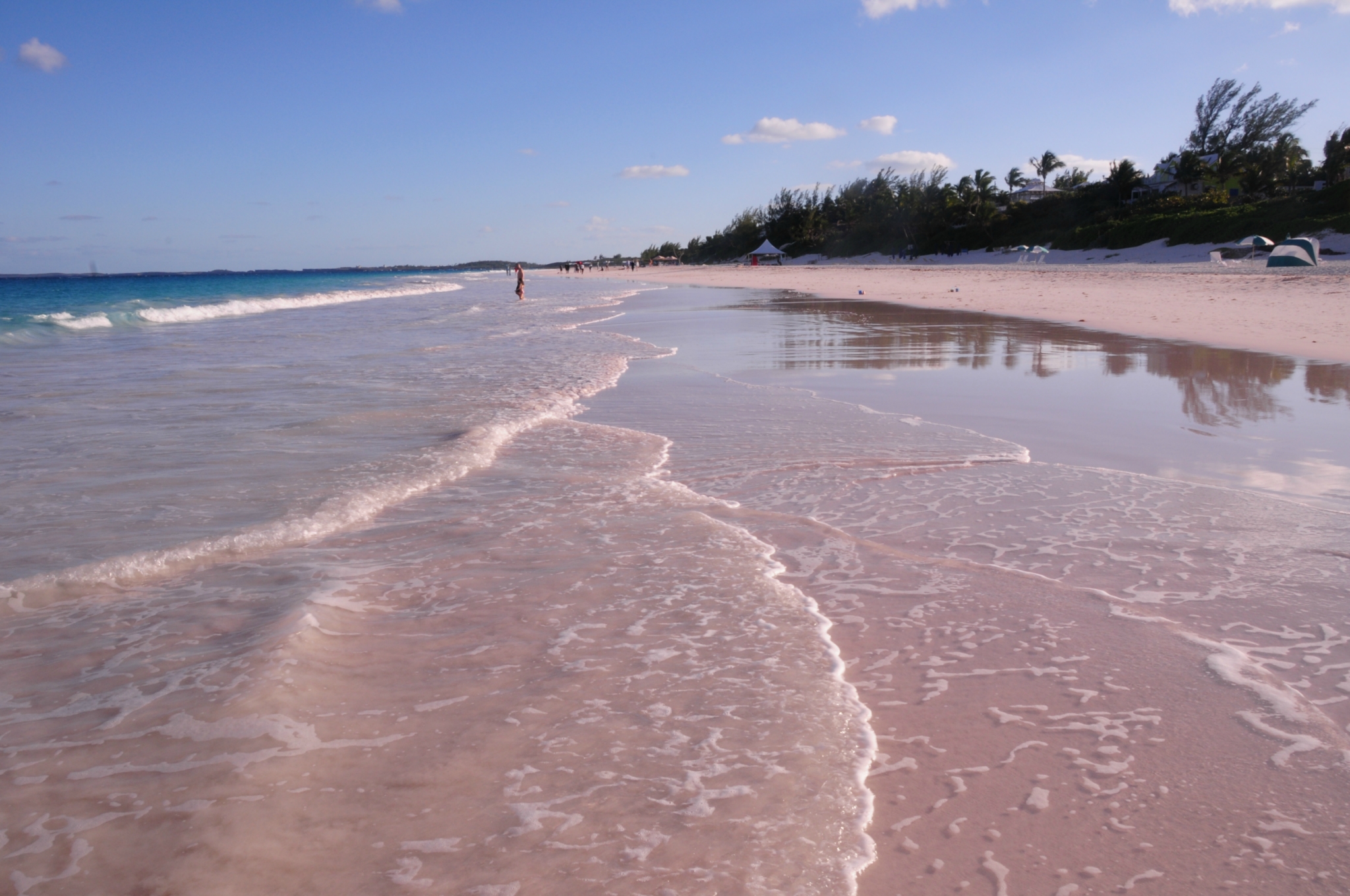 巴哈马，世界上唯一的粉色沙滩 