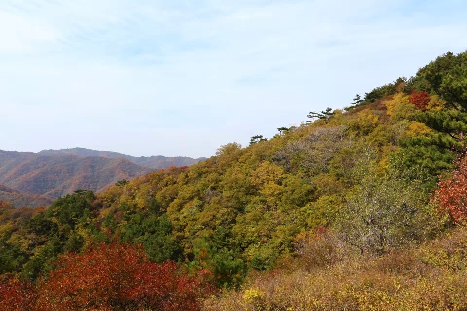 翠枫山,阳泉自助游攻略 马蜂窝