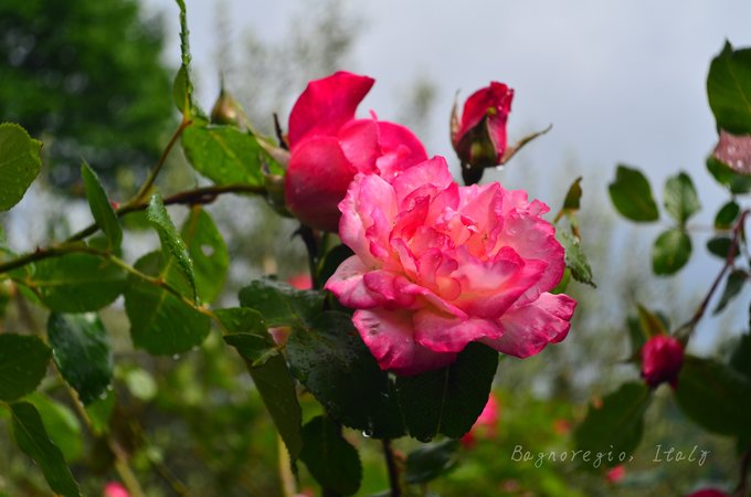 在天空之城，西西里和马耳他的七天,马耳他旅游