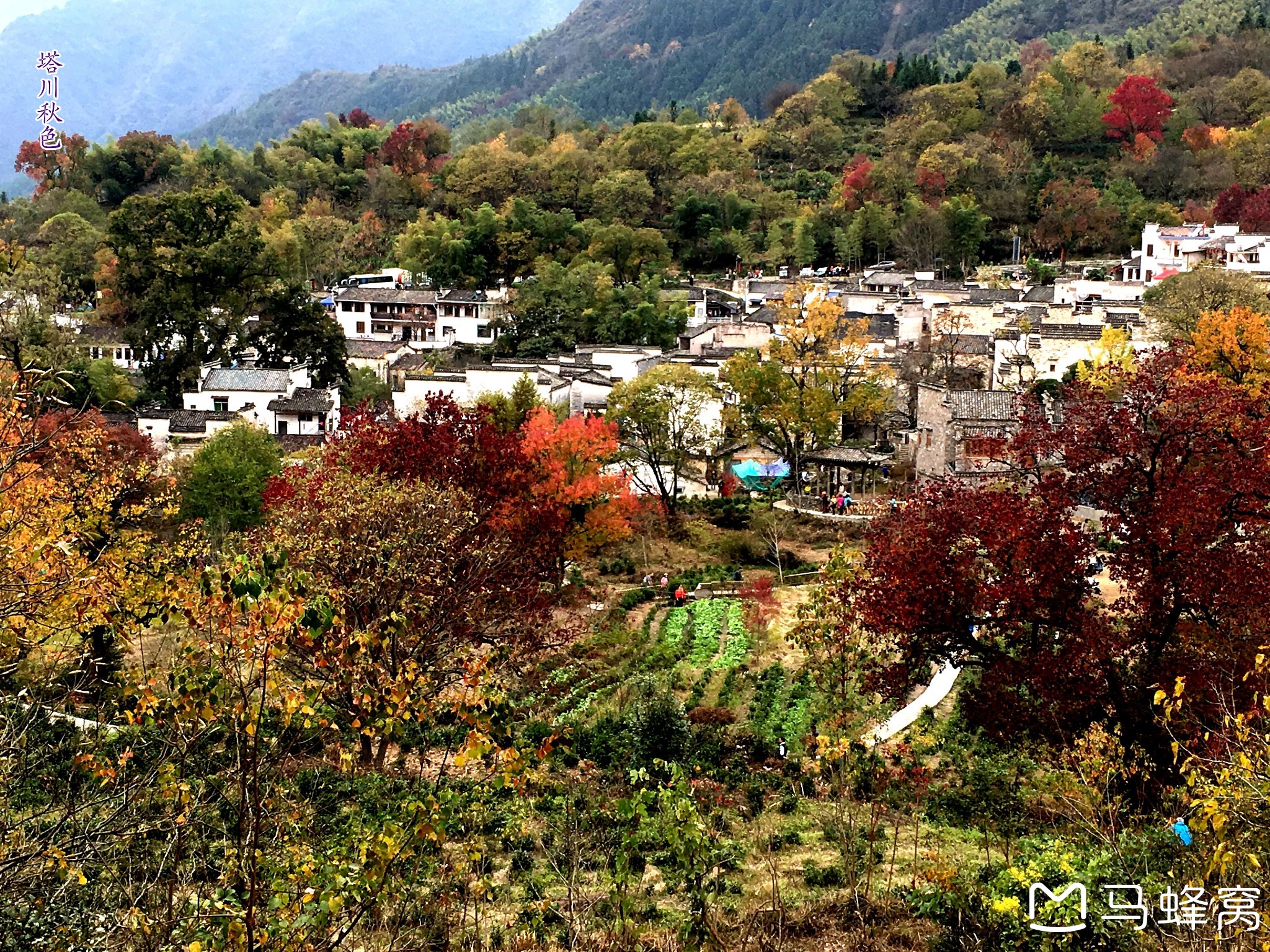 塔川景區