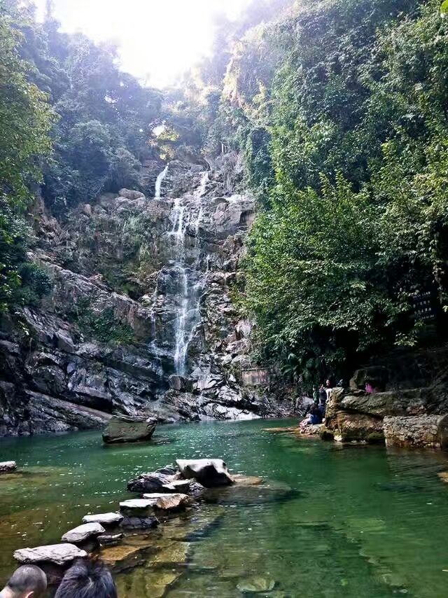 鼎湖山景区旅游攻略(鼎湖山景区旅游攻略最新)