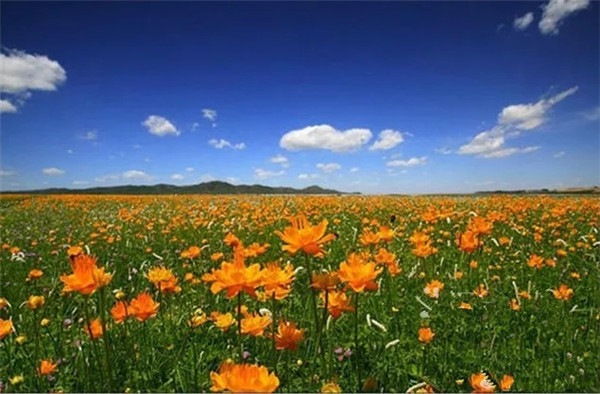 嗨玩暑假 金莲川草原 元上都遗址 浑善达克沙地穿越亲子定制3日游(蒙