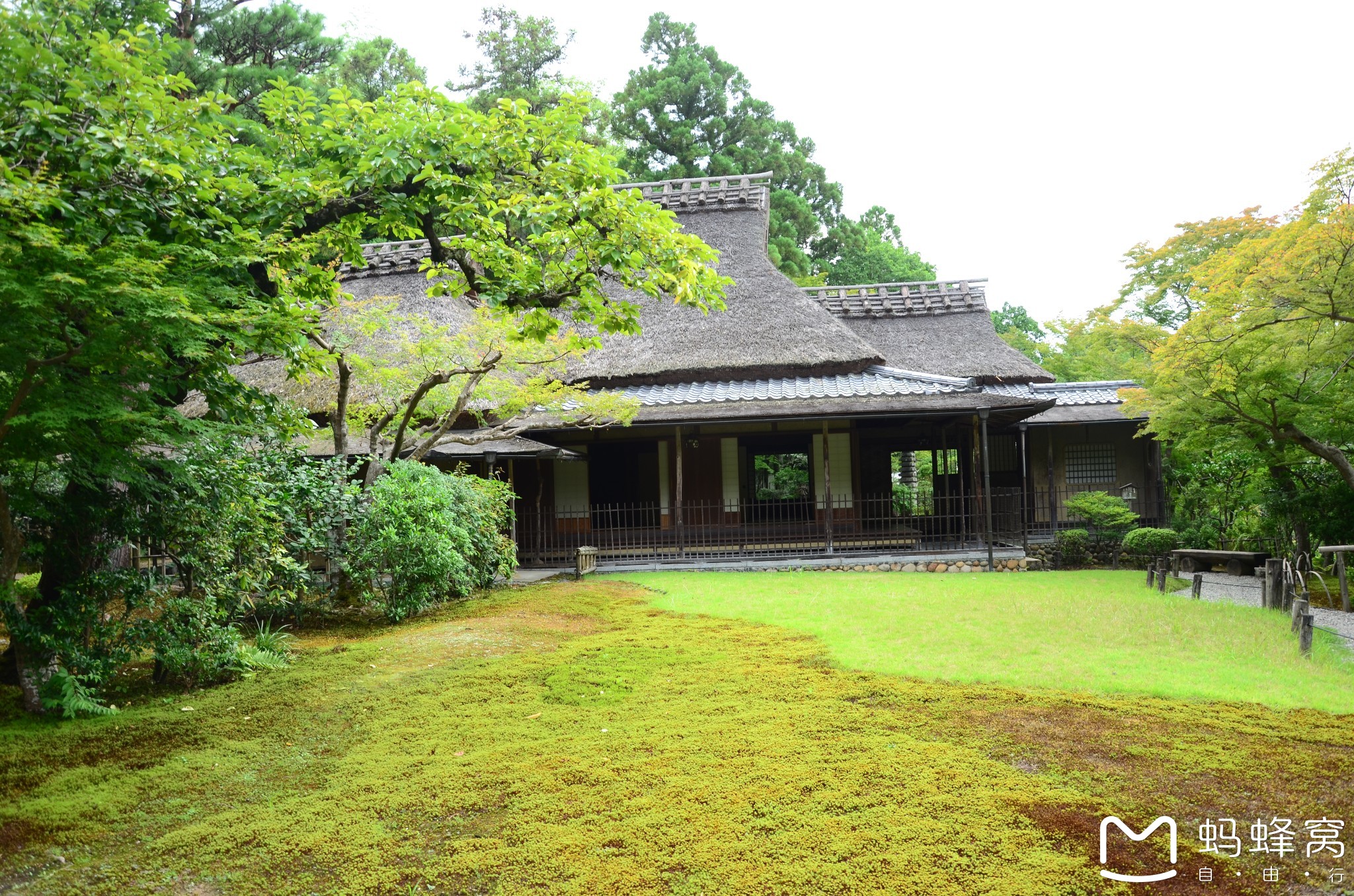 奈良吉城园攻略,吉城园门票_地址,吉城园游览攻略 - 马蜂窝