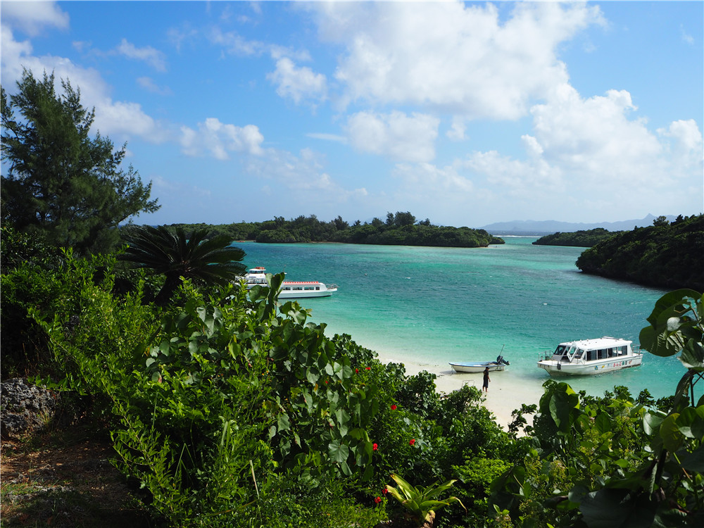 日本不只有樱花和红叶,还有海洋天堂-- 石垣岛追寻manta之旅