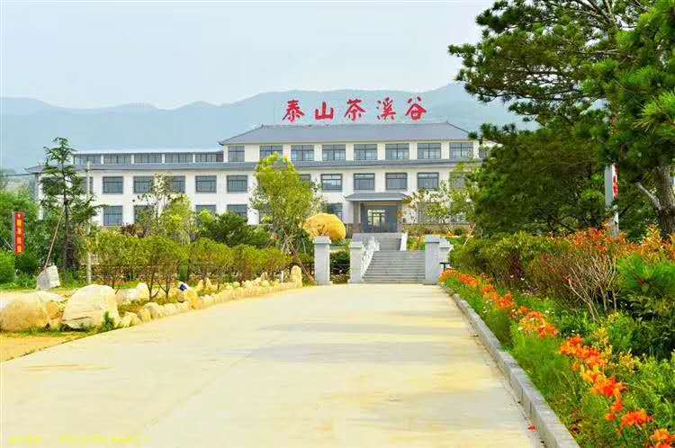 泰山茶溪谷民宿