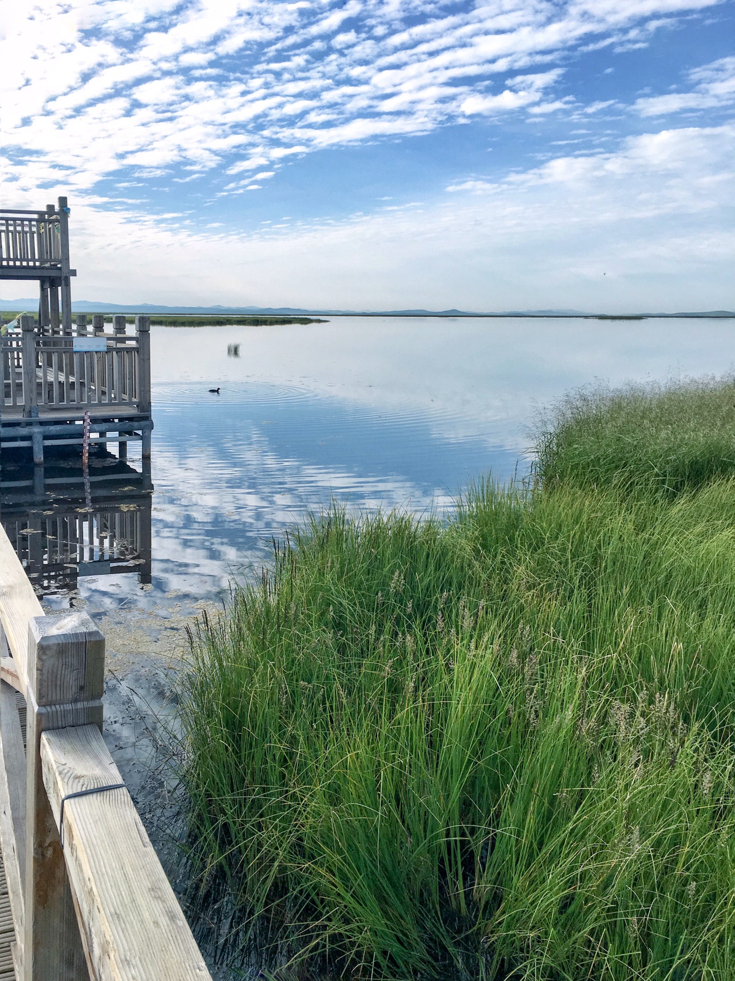 九寨沟若尔盖花湖成都游记