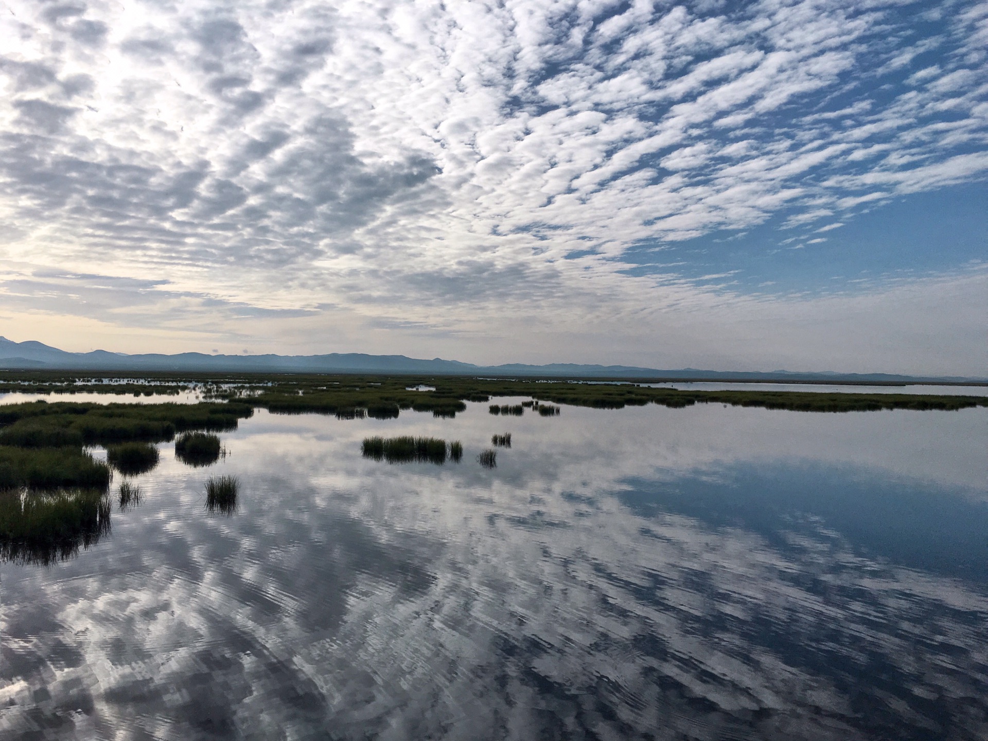 九寨沟若尔盖花湖成都游记