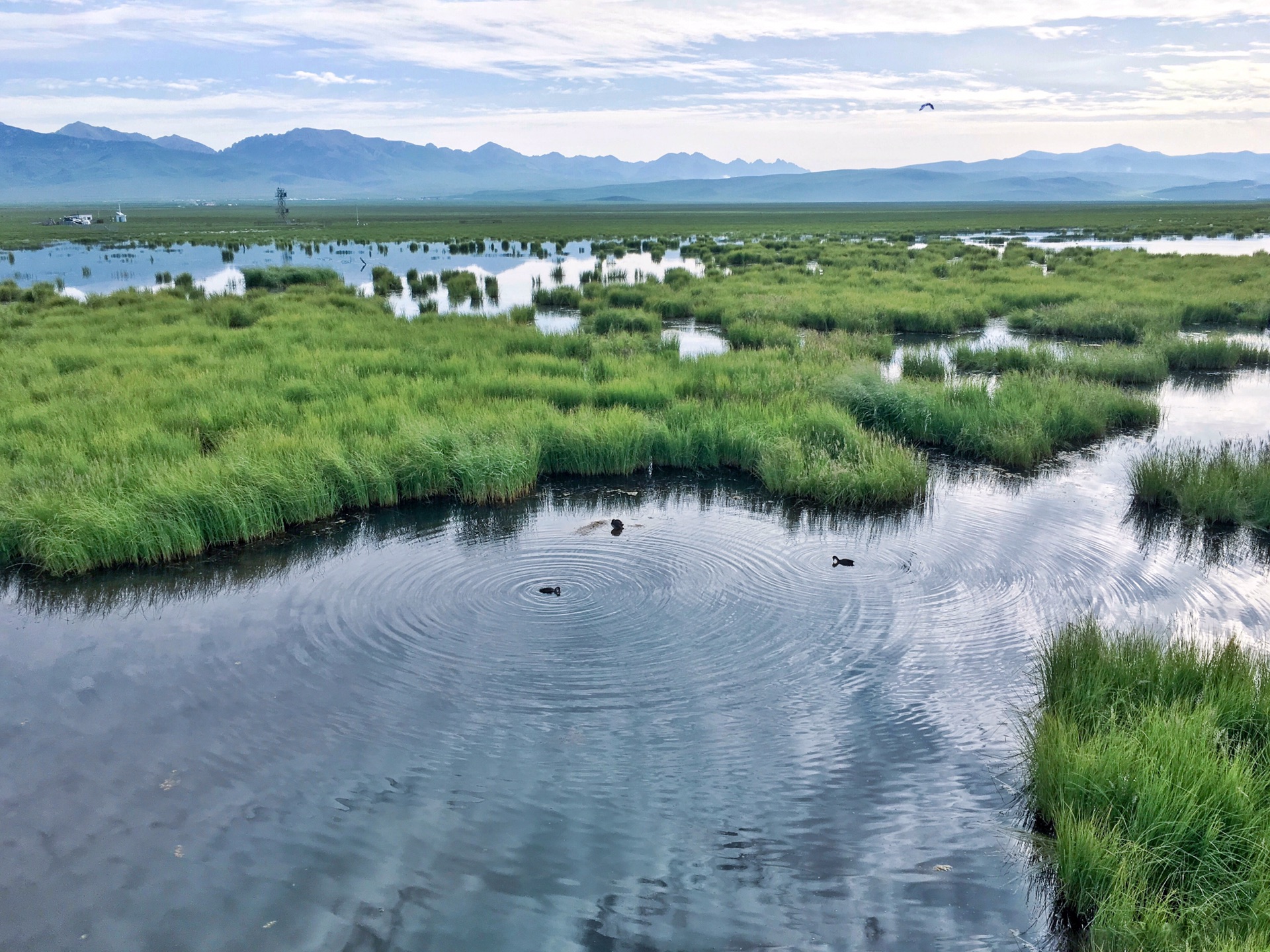 九寨沟若尔盖花湖成都游记