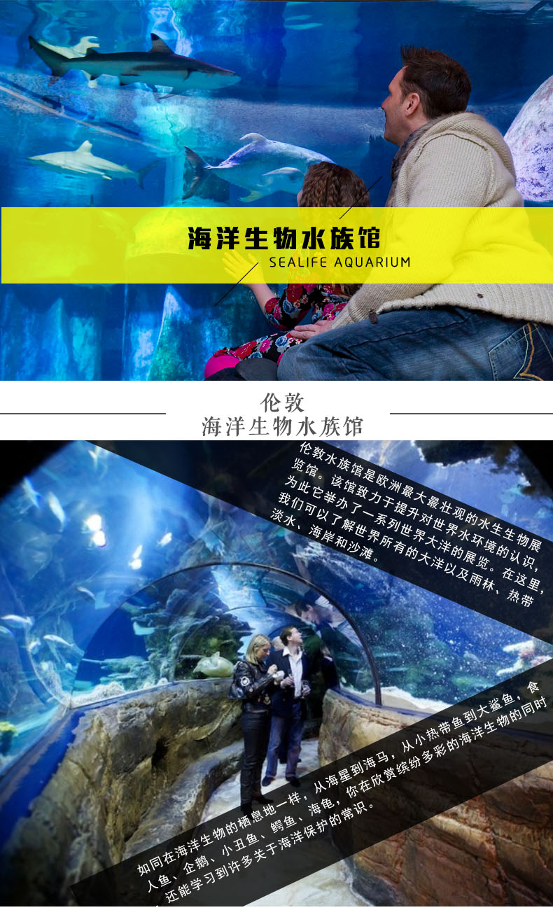 與神奇的海洋生物親密接觸 英國倫敦水族館 sealife aquarium門票(優