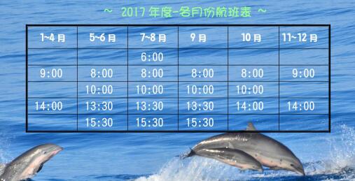 爸爸去哪儿 花莲赏鲸豚游船体验 含接送 马蜂窝自由行 马蜂窝自由行