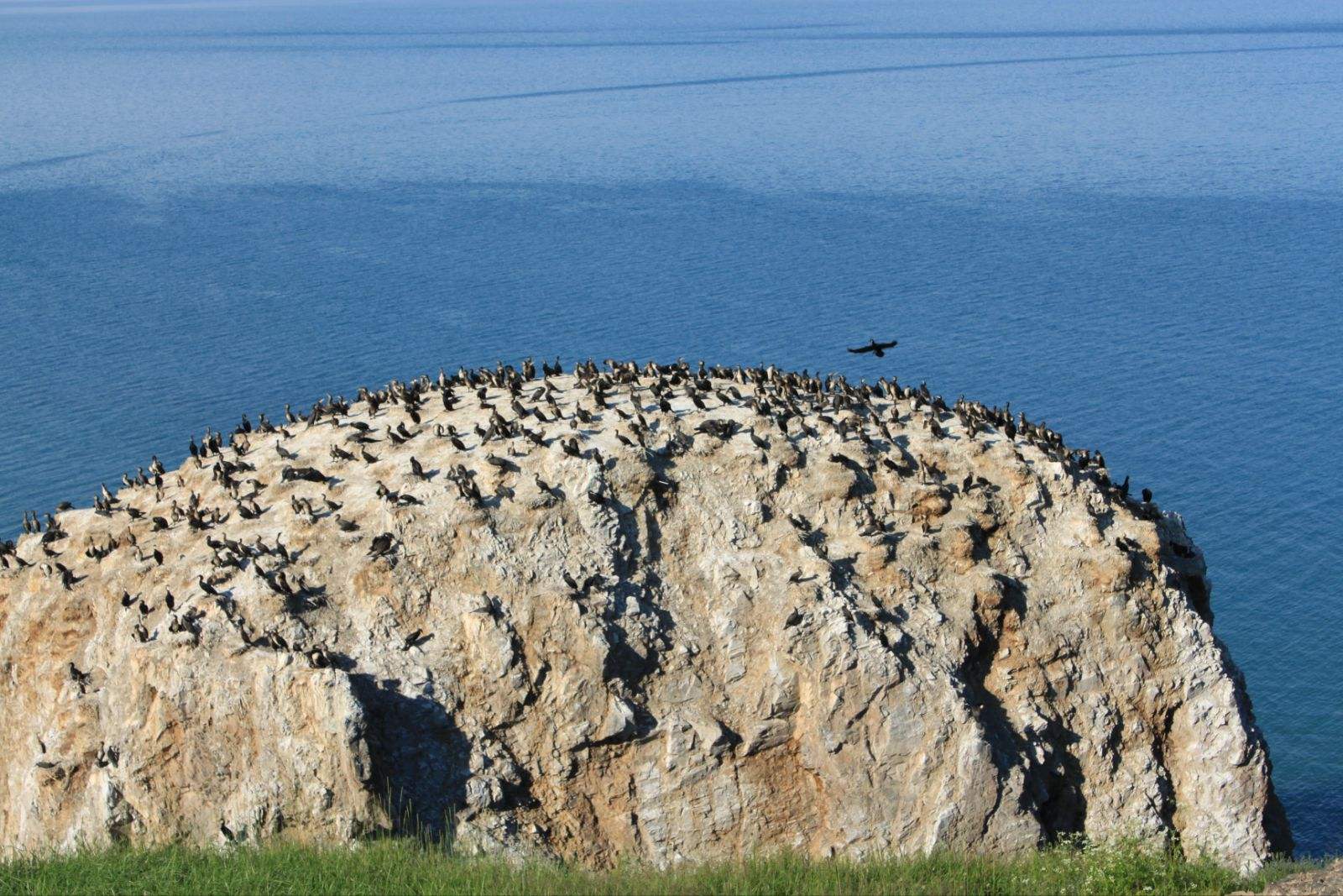 青海湖鸟岛景区关闭图片