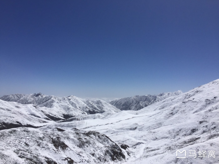 大冬树山垭口清明节左右路况