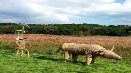 沈阳花千谷门票