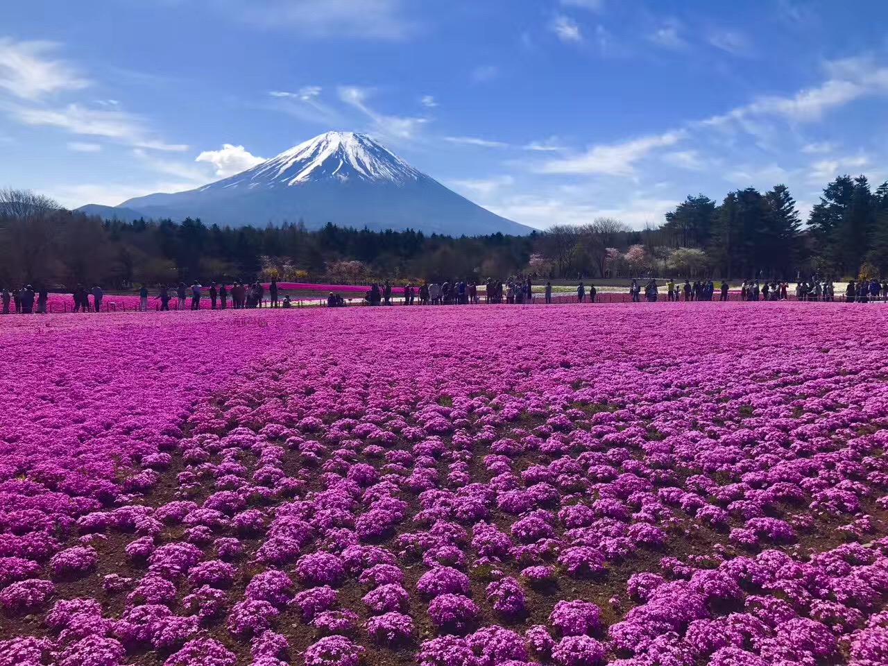 東京富士山奧特萊斯一天遊血拼黨專屬路線超長4小時御殿場奧特萊斯