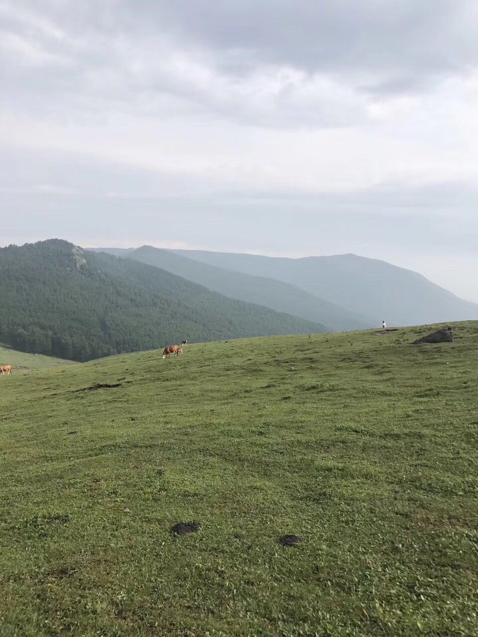 太原雲頂山半日遊