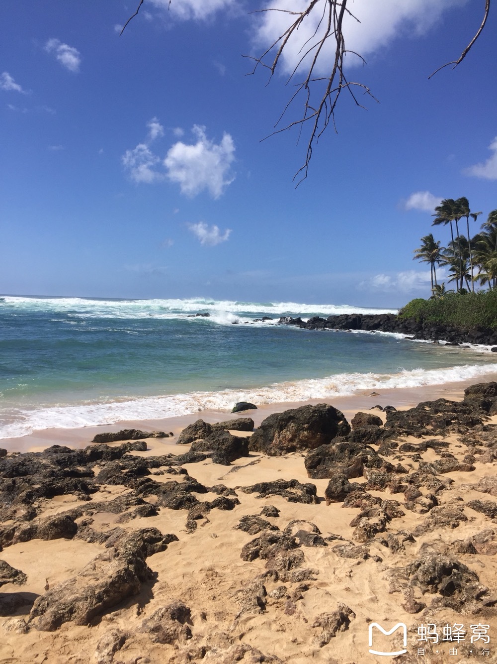 夏威夷waikiki海滩