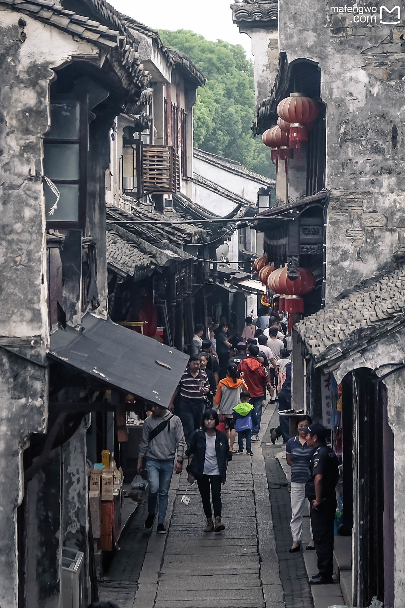 【甪直】长桥短桥杨柳,青石小巷人家.