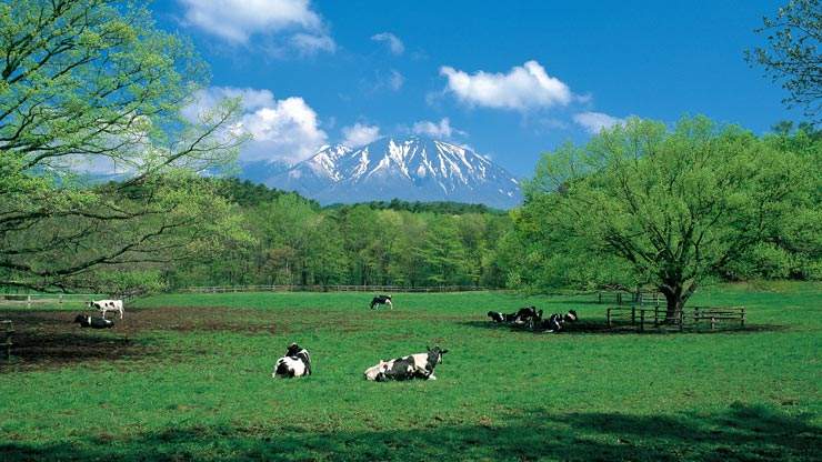 日本岩手县——东北部鲜为人知的旅游胜地!