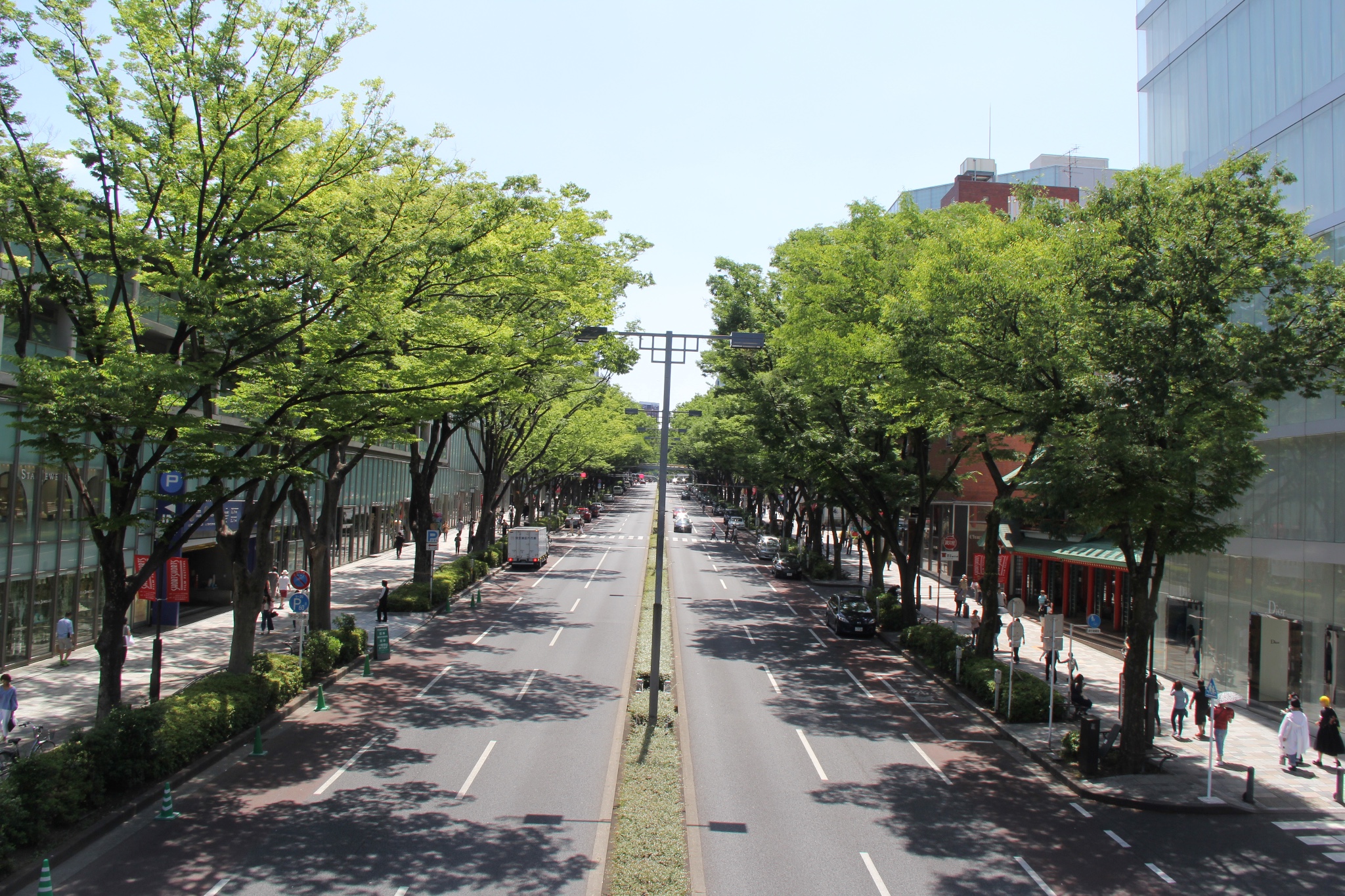 表参道攻略 表参道门票 地址 表参道景点攻略 马蜂窝