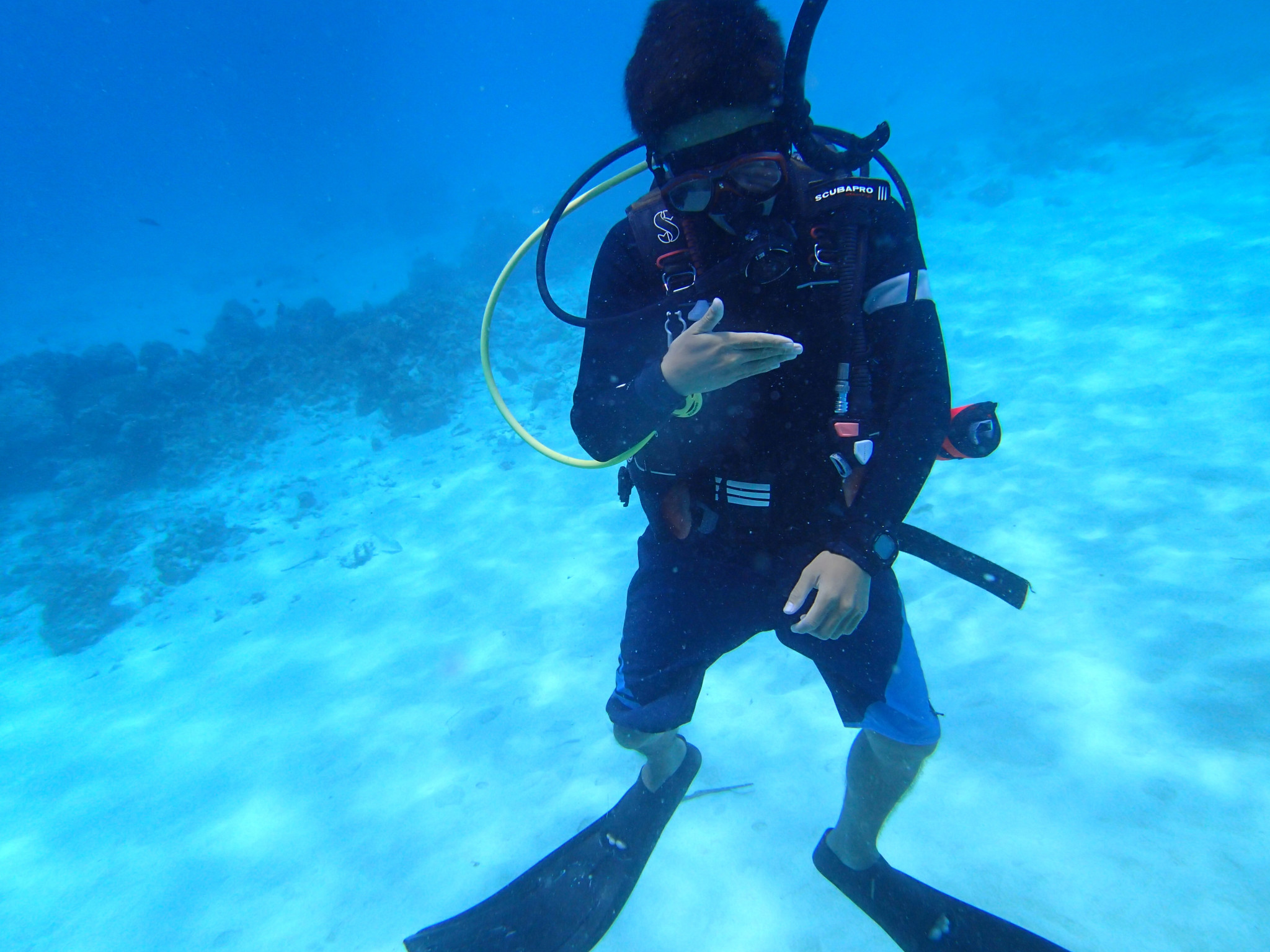 马来西亚 | 10人仙本那ow潜水风暴