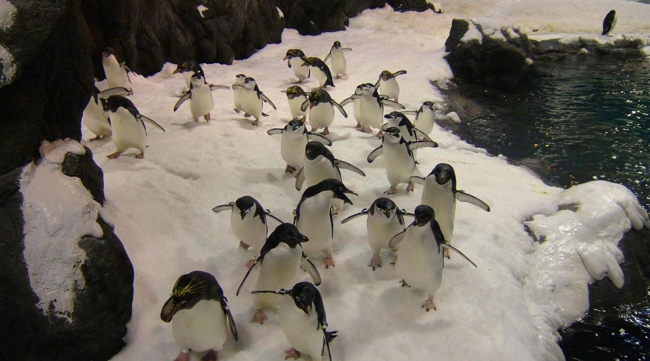 台湾垦丁国立海洋生物博物馆门票 单人票家庭票 亲子票 情侣票 马蜂窝自由行 马蜂窝自由行