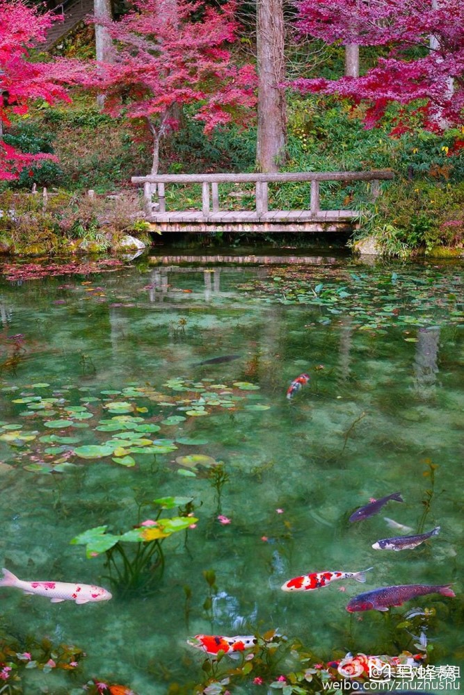 请问岐阜县莫奈池怎么去呢