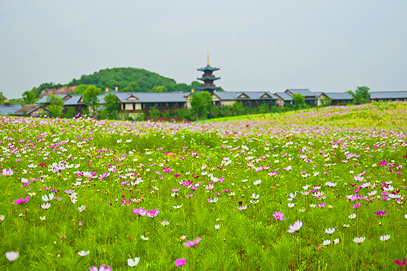 無錫拈花灣門票(自動出票/立即生效)