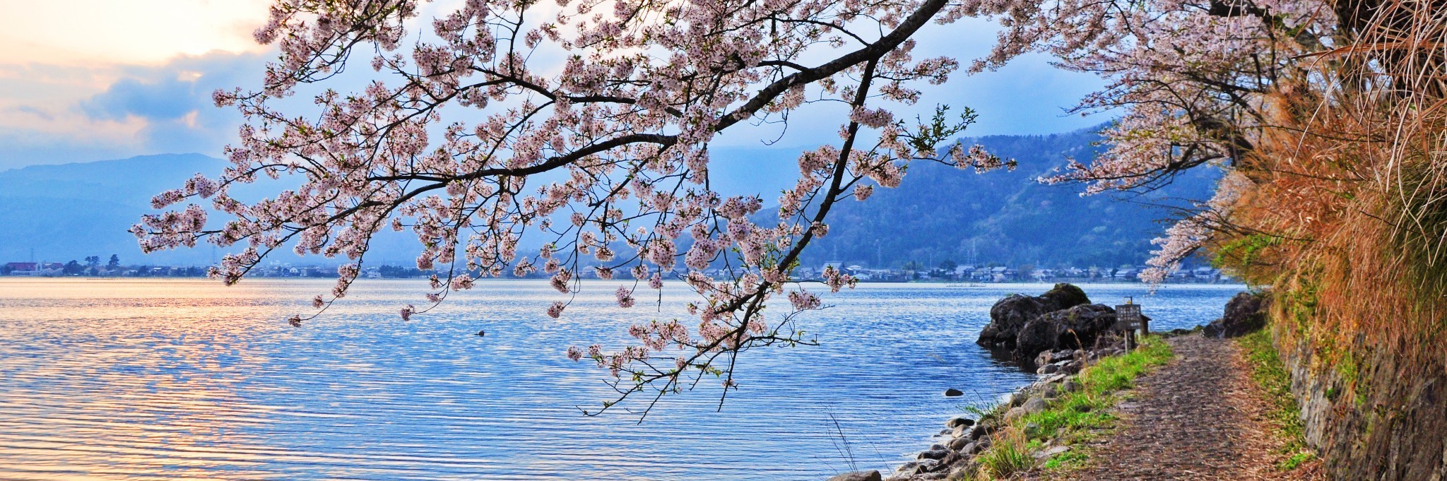 18 4 湖国滋贺环琵琶湖骑行与略显寒酸的关西花见巡游 旅游攻略 马蜂窝
