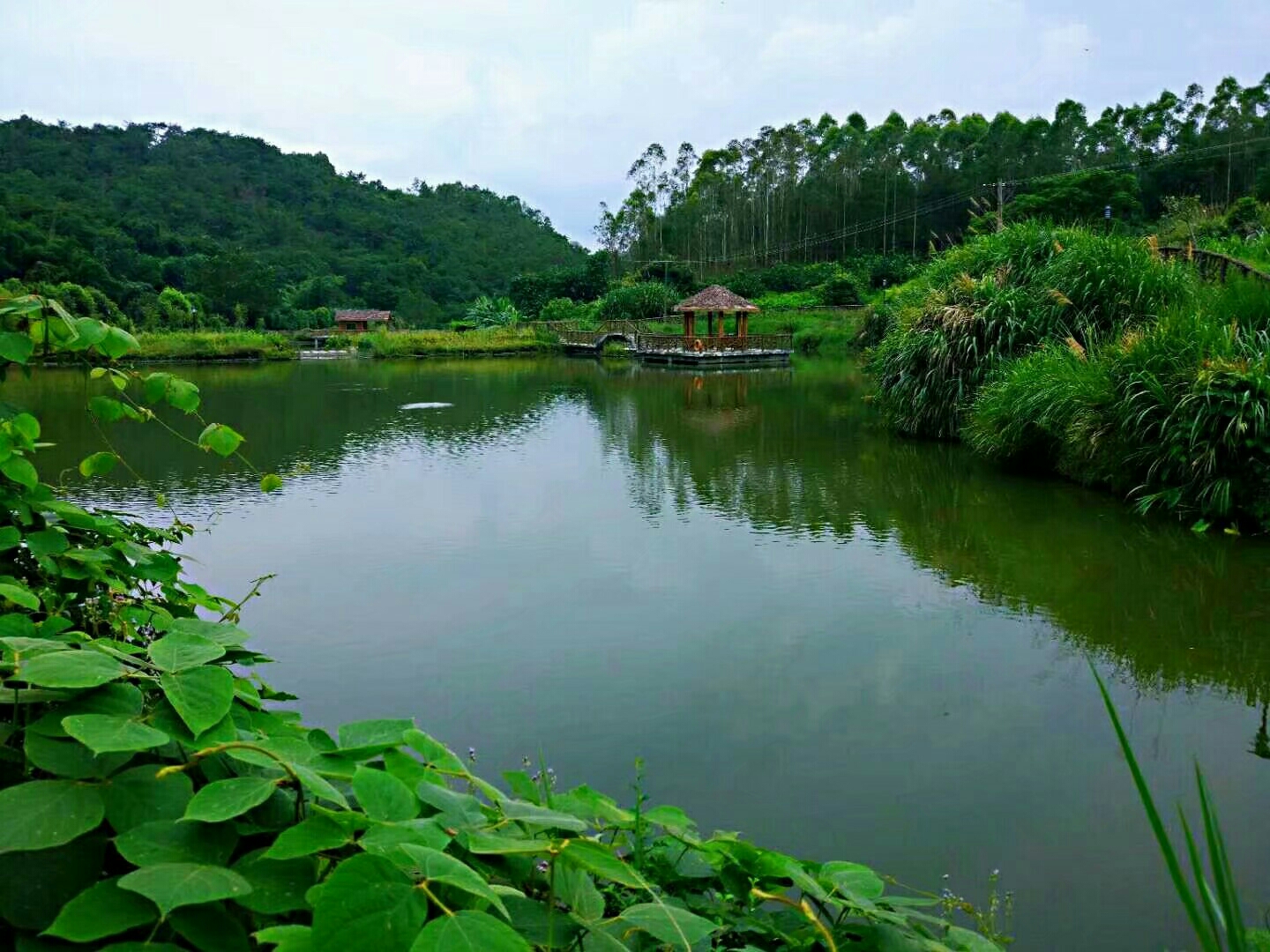 厦门同安造水村