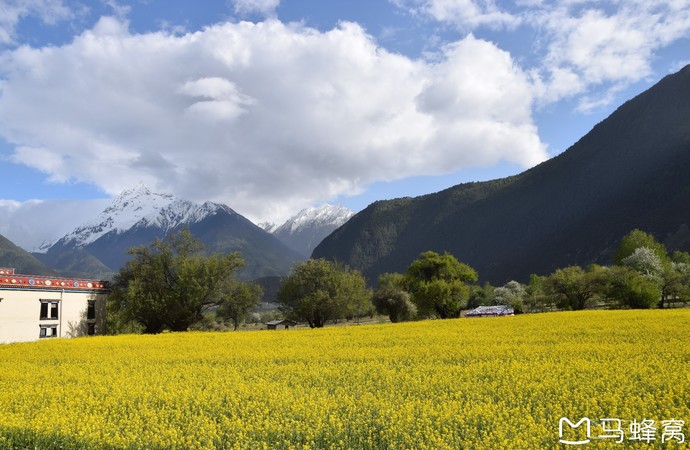 吞白村旅游图片,吞白村自助游图片,吞白村旅游景点照片 - 马蜂窝图库