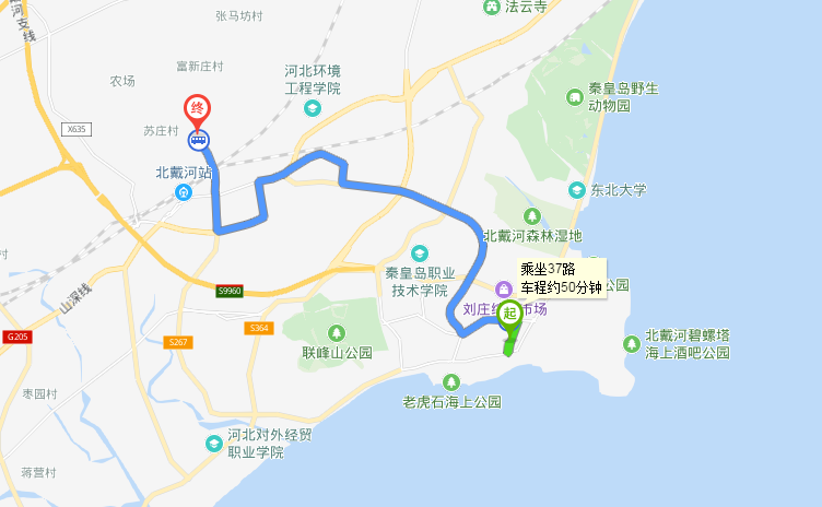 刘庄夜市地图图片