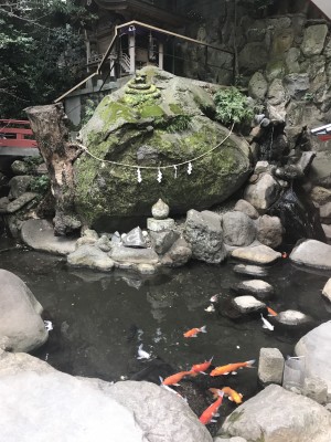 来宫神社攻略,来宫神社门票_地址,来宫神社景点攻略- 马蜂窝