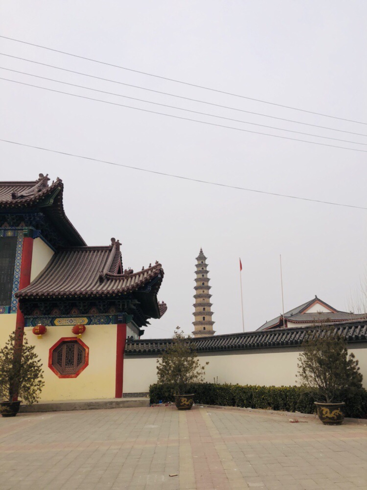 唐槐宋塔高唐县兴国寺一游