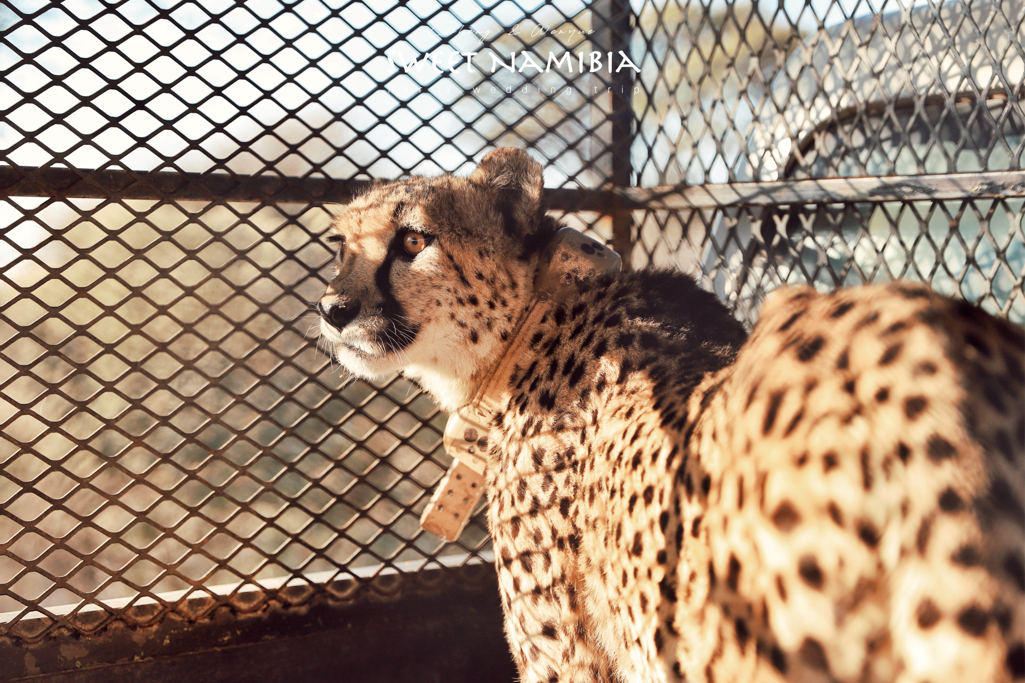 哈纳斯野生动物保护基地