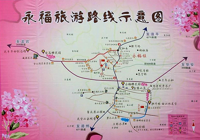 我和花儿有个约会(七)——福建漳平县永福樱花